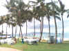 resort8.jpg (78986 bytes)