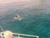 snorkel3.jpg (67716 bytes)